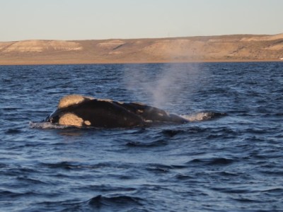 5- Un et un font trois:&nbsp;Magie